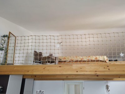 Apartment One bedroom apartment near beach Sevid, Trogir A-18168-c - Outdoor photo 15