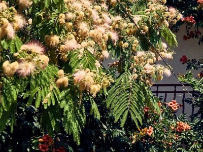 Apartment Four-bedroom apartment with balcony and sea view Vinišće, Trogir A-18225-b - Outdoor photo 25