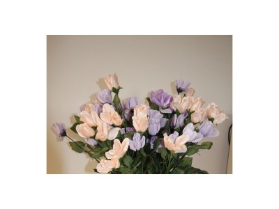 Apartment One bedroom apartment with balcony Vir A-18514-a - Outdoor photo 6