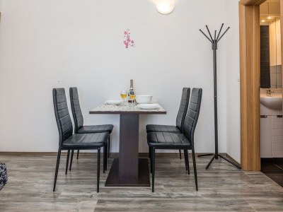 Apartment One bedroom apartment with terrace Vir A-18518-c in Vir - Apartment