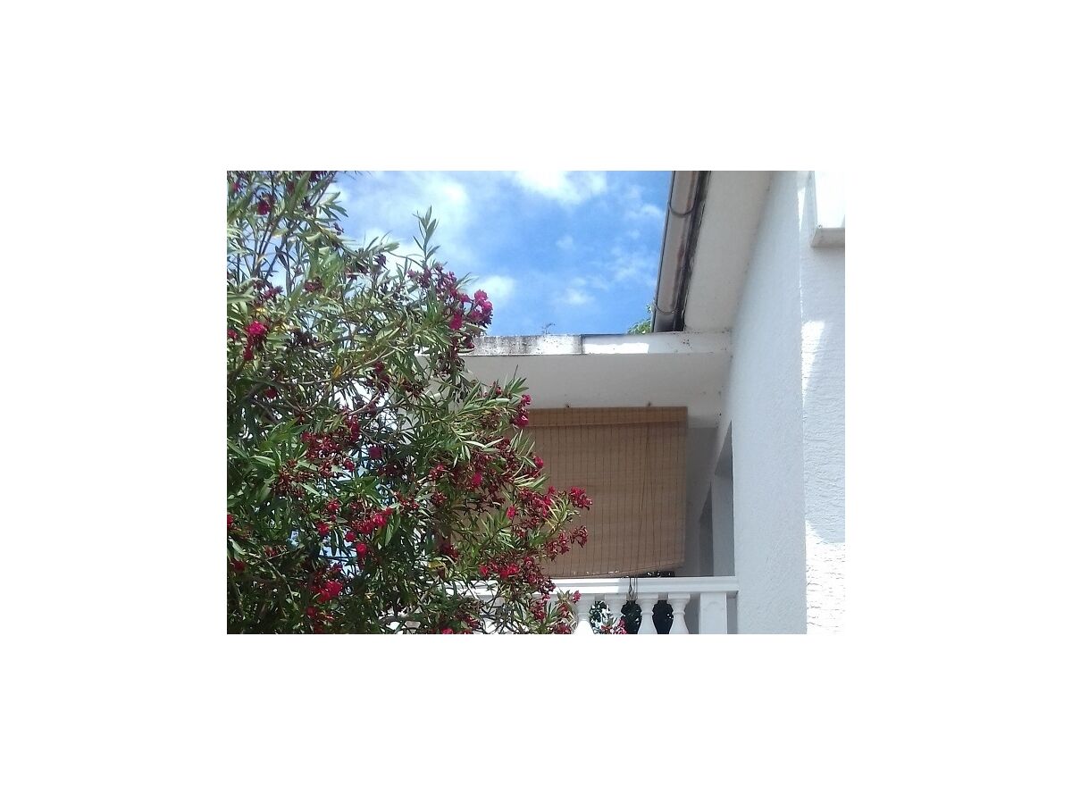 Apartment Studio flat with air-conditioning Vir AS-17491-a - Outdoor photo 4