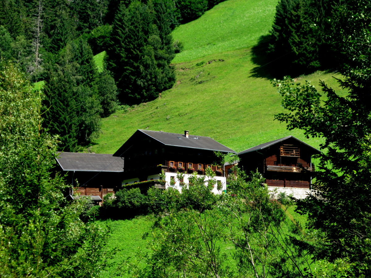 Holiday apartment Kleinitz, organic farm Plonerhof - Outdoor photo 3