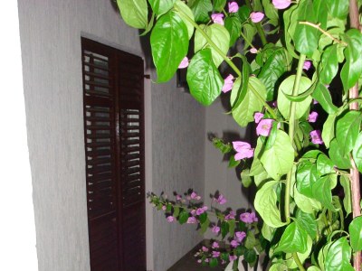 Apartment One bedroom apartment with balcony and sea view Barbat, Rab A-17620-b - Outdoor photo 13