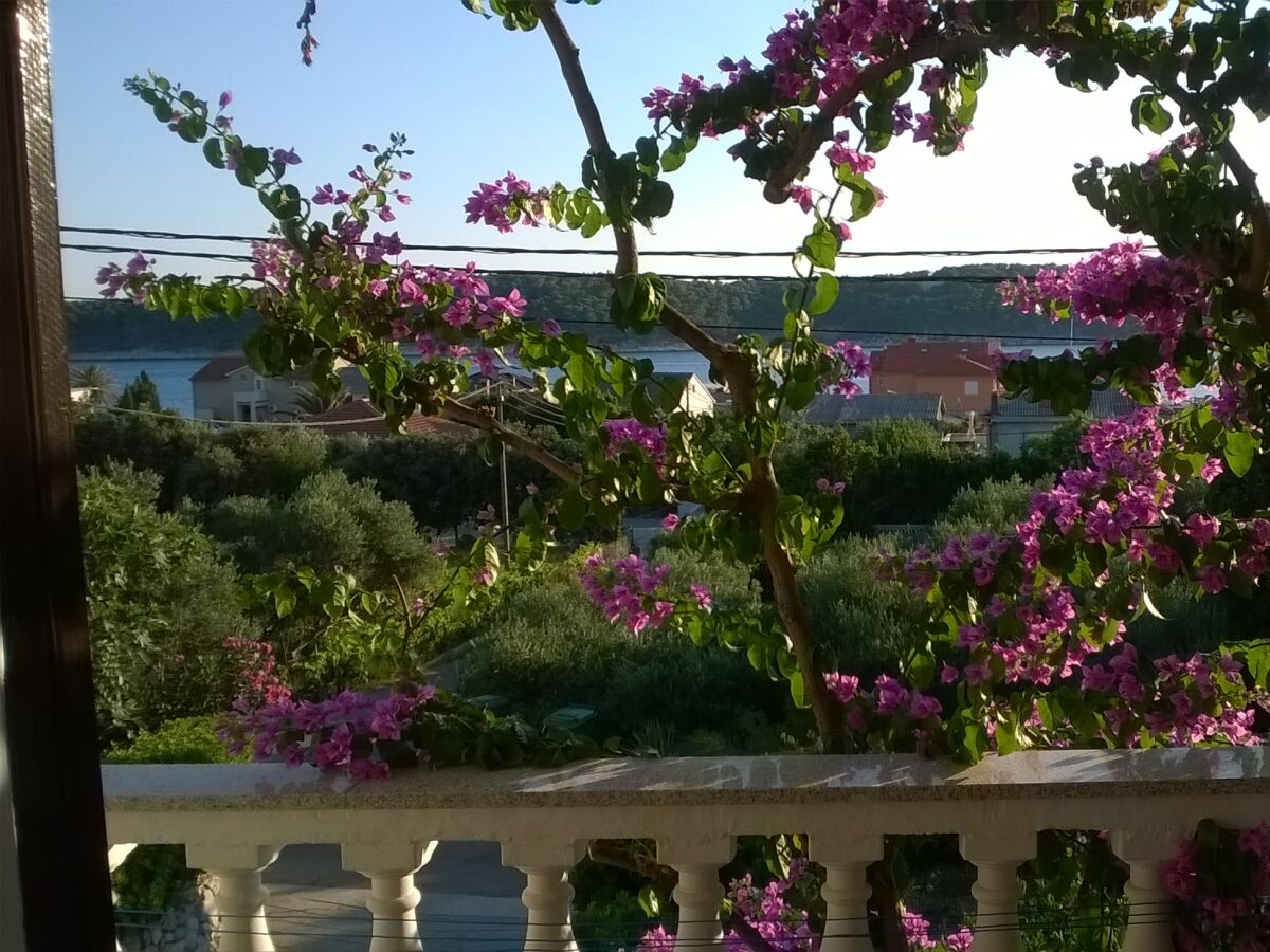 Apartment One bedroom apartment with terrace and sea view Barbat, Rab A-17620-c