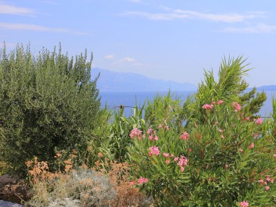 Apartment One bedroom apartment with balcony and sea view Lokva Rogoznica, Omiš A-17645-b - Outdoor photo 11
