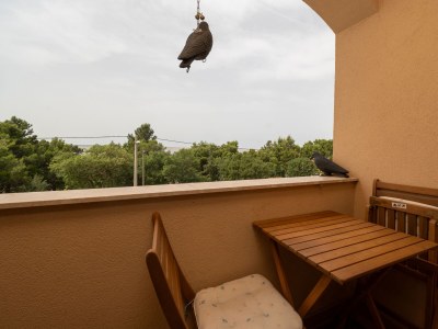 Apartment One bedroom apartment with balcony and sea view Tribanj Šibuljina, Paklenica A-17818-c - Outdoor photo 29