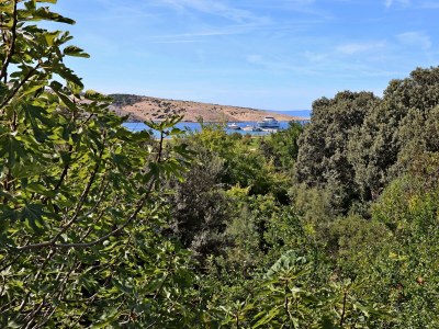 Apartment One bedroom apartment with terrace and sea view Lopar, Rab A-18001-b - Outdoor photo 8