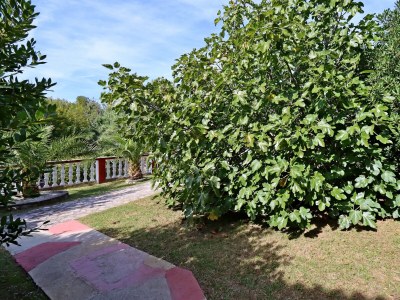 Apartment Studio flat with terrace Lopar, Rab AS-18001-a - Outdoor photo 9