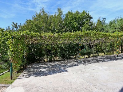 Apartment Two bedroom apartment with terrace and sea view Lopar, Rab A-18005-c - Outdoor photo 2