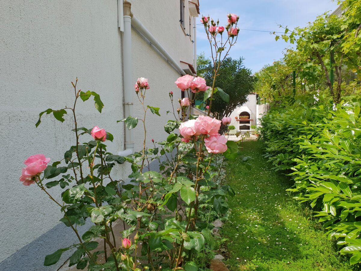 Apartment One bedroom apartment with terrace Šilo, Krk A-18752-a - Outdoor photo 4