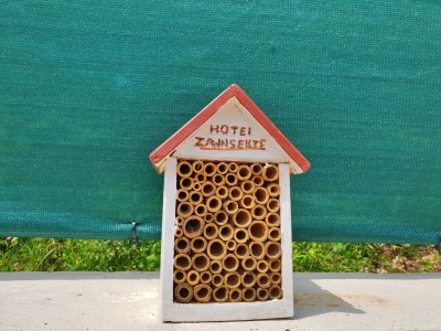 Apartment Two bedroom apartment with balcony Šilo, Krk A-18752-b - Outdoor photo 7