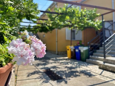 Apartment Three bedroom apartment with terrace and sea view Šilo, Krk A-18757-b - Outdoor photo 6