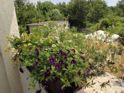 Apartment Two bedroom apartment with balcony Šilo, Krk A-18763-b - Outdoor photo 8