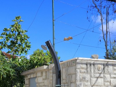 Apartment Two bedroom apartment with terrace and sea view Sevid, Trogir A-19105-b - Outdoor photo 18
