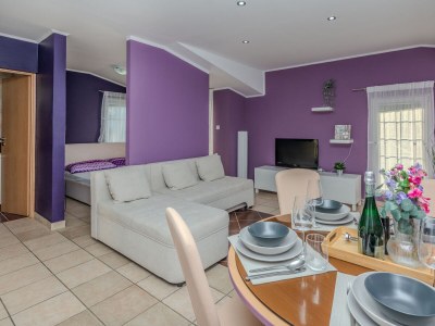 Apartment Studio flat with balcony and sea view Vir - Lozice, Vir AS-18593-a - Outdoor photo 8