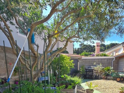 Apartment Studio flat with terrace Veli Lošinj, Lošinj AS-19196-a - Outdoor photo 19