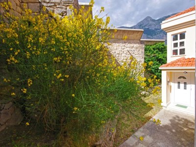 Apartment One bedroom apartment with balcony and sea view Makarska A-19202-b - Outdoor photo 7