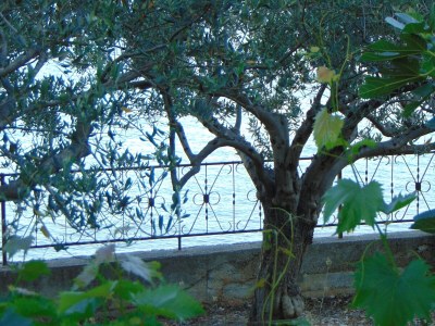 Apartment Two bedroom apartment near beach Seget Donji, Trogir A-19351-b - Outdoor photo 13