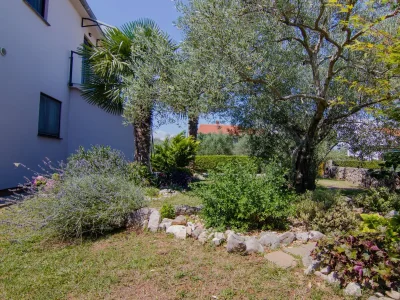 Apartment One bedroom apartment with balcony Milovcici, Krk A-19352-b - Outdoor photo 8