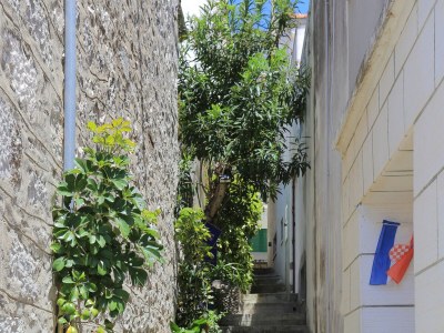 Apartment Two bedroom apartment near beach Brist, Makarska A-18859-a - Outdoor photo 5