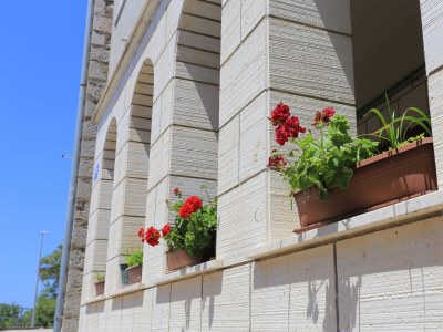 Apartment Two bedroom apartment near beach Brist, Makarska A-18859-a - Outdoor photo 6