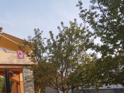 Apartment Three bedroom apartment with terrace Vrsi - Mulo, Zadar A-18914-b - Outdoor photo 6