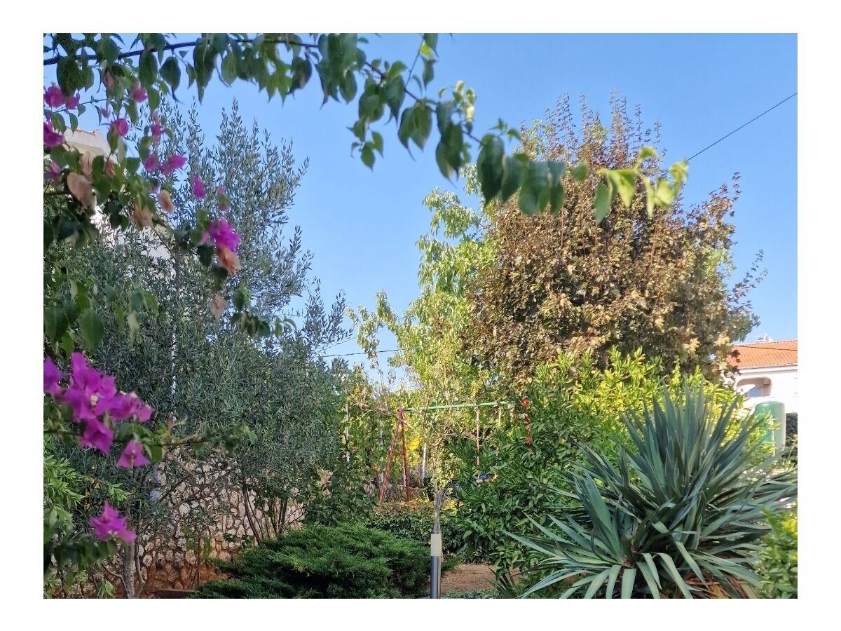 Apartment Comfortable and spacious apartment with terrace and sea view Pinezići, Krk A-18967-a - Outdoor photo 3