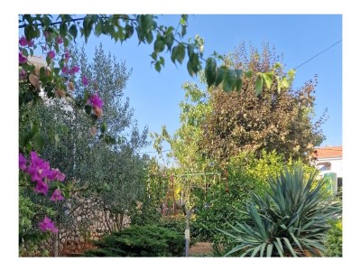 Apartment Comfortable and spacious apartment with terrace and sea view Pinezići, Krk A-18967-a - Outdoor photo 3