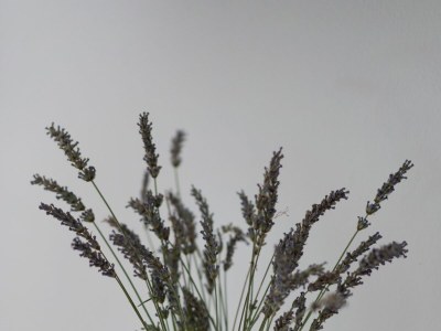 Apartment Studio flat with balcony Pakoštane, Biograd AS-18981-a - Outdoor photo 10