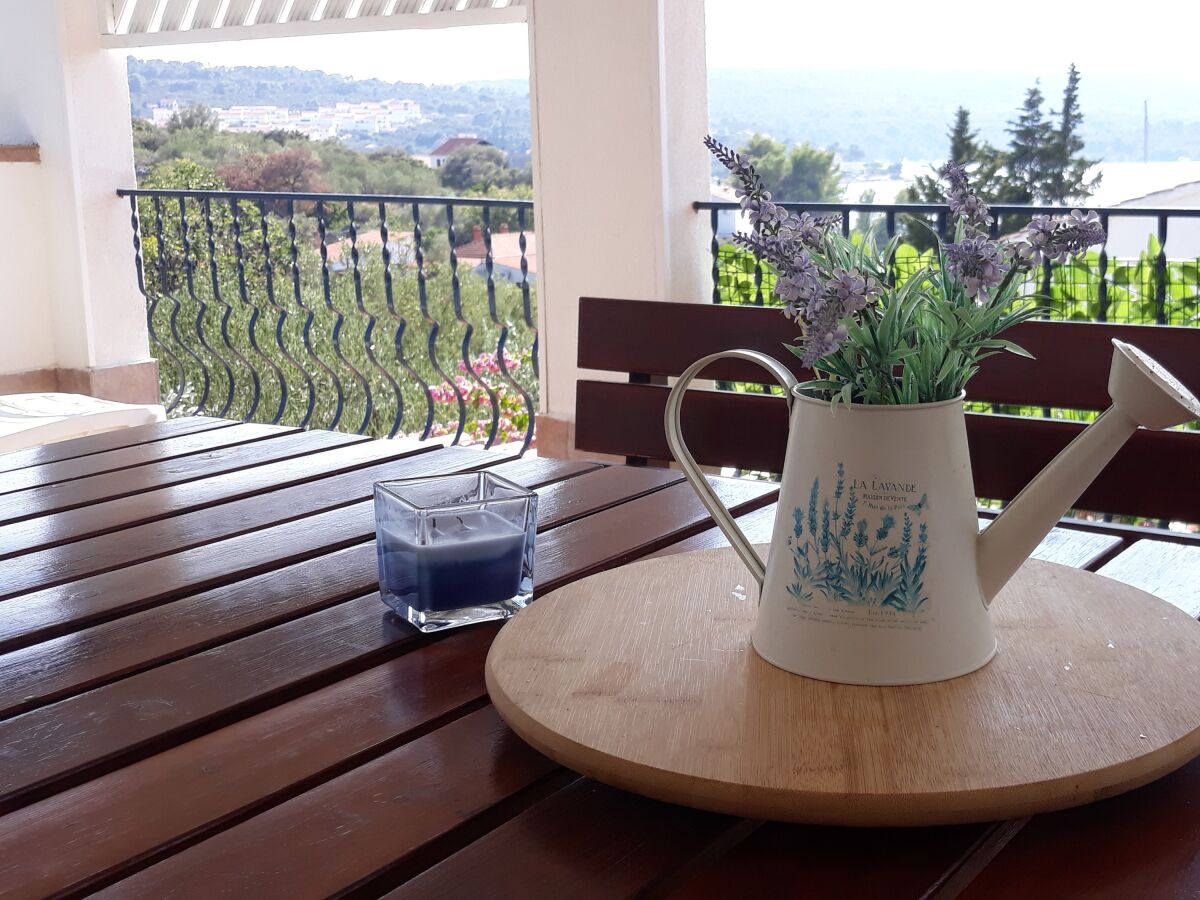 Apartment Two bedroom apartment with terrace and sea view Nečujam, Šolta A-18993-b