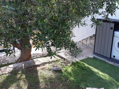 Apartment Two bedroom apartment with terrace and sea view Nečujam, Šolta A-18993-b - Outdoor photo 6