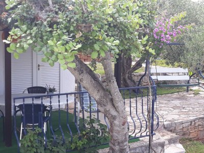 Apartment One bedroom apartment with terrace Nečujam, Šolta A-18993-c - Outdoor photo 12