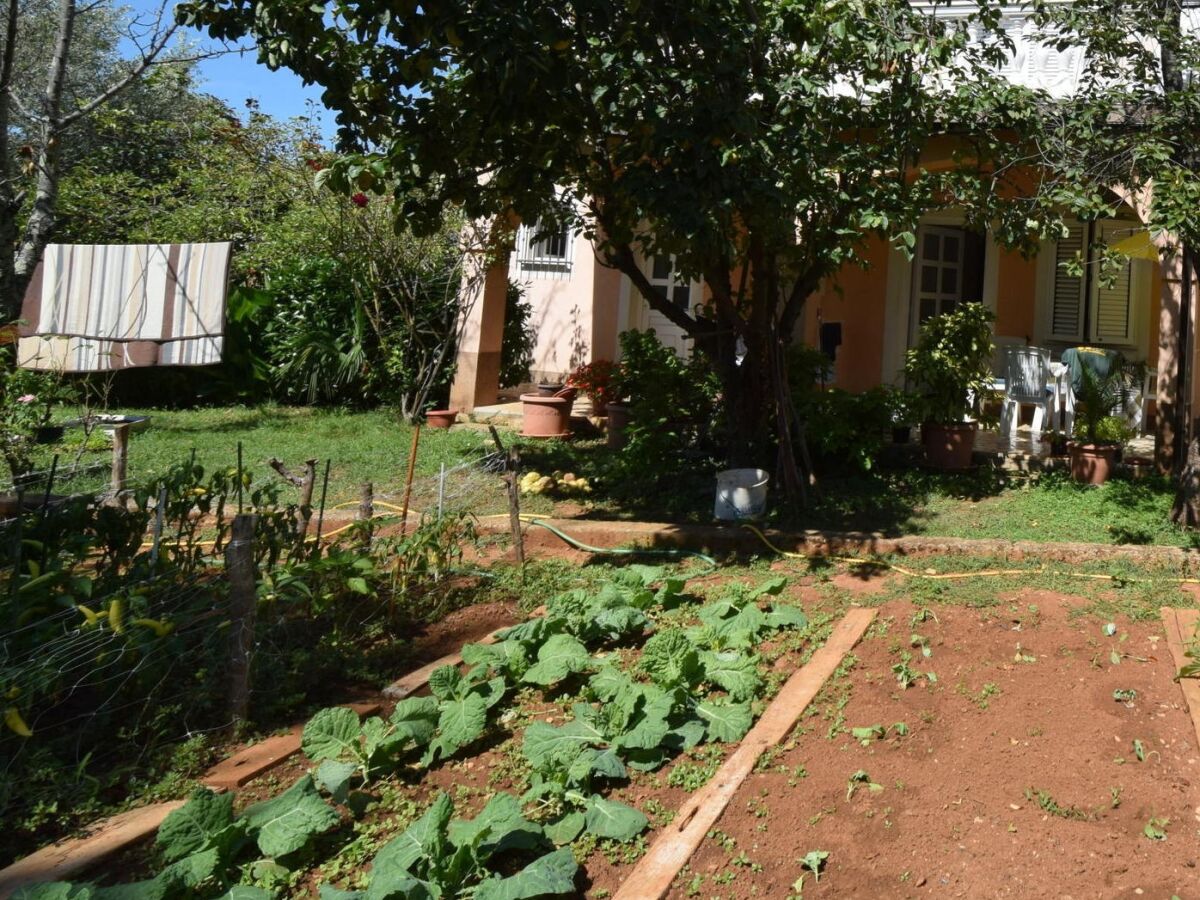 Apartment One bedroom apartment with terrace Njivice, Krk A-19411-a - Outdoor photo 4