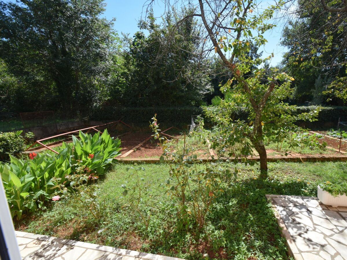 Apartment One bedroom apartment with terrace Njivice, Krk A-19411-a - Outdoor photo 5