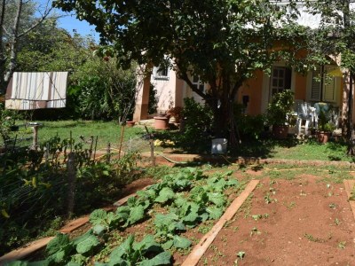 Apartment One bedroom apartment with terrace Njivice, Krk A-19411-a - Outdoor photo 4
