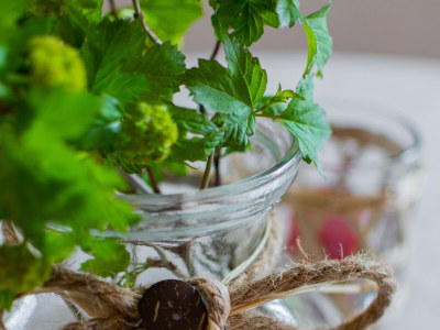 Apartment Two bedroom apartment with balcony Lipovača, Plitvice A-19450-a - Outdoor photo 34