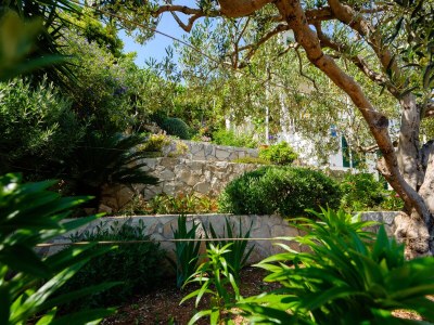 Apartment One bedroom apartment with balcony and sea view Cove Gornja Krusica, Šolta A-20021-b - Outdoor photo 9