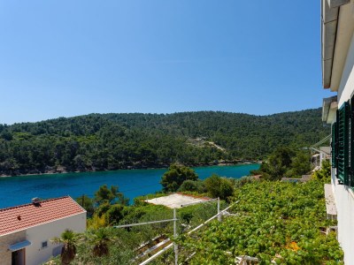 Apartment One bedroom apartment with balcony and sea view Cove Gornja Krusica, Šolta A-20021-b - Outdoor photo 23