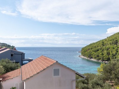 Apartment Three bedroom apartment with balcony and sea view Cove Poplat, Korčula A-20023-a - Outdoor photo 21
