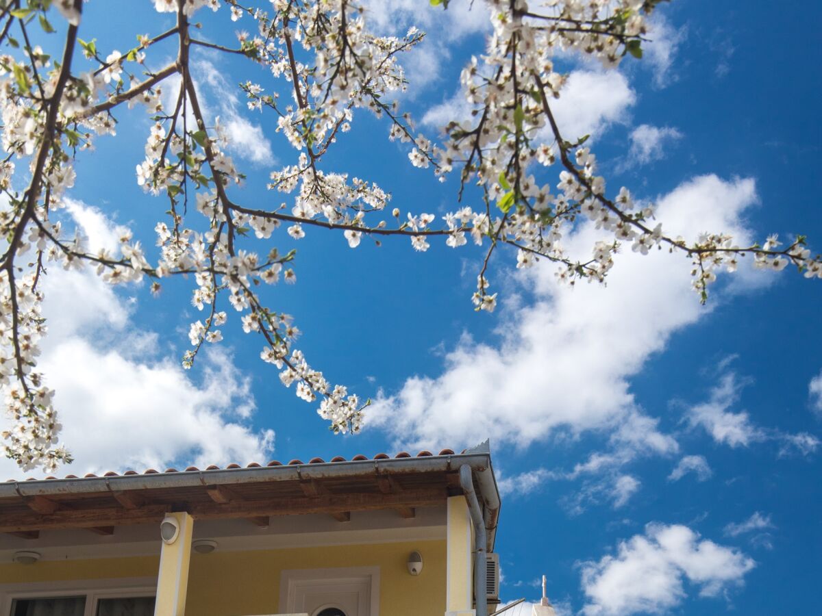 Apartment Two bedroom apartment near beach Baška, Krk A-19518-b - Outdoor photo 2