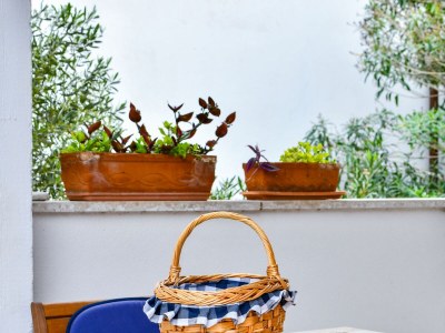 Apartment Two bedroom apartment with terrace Barbat, Rab A-20170-c - Outdoor photo 44