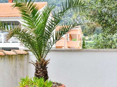 Apartment Two bedroom apartment with terrace Barbat, Rab A-20170-c - Outdoor photo 47