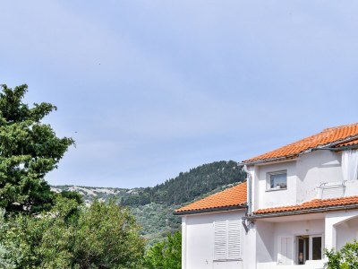 Apartment Two bedroom apartment with terrace Barbat, Rab A-20170-e - Outdoor photo 7