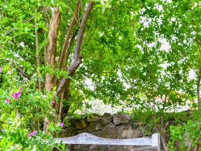 Apartment Two bedroom apartment with terrace Barbat, Rab A-20170-e - Outdoor photo 14