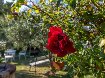 Apartment Two bedroom apartment with balcony and sea view Banjol, Rab A-19804-d - Outdoor photo 14