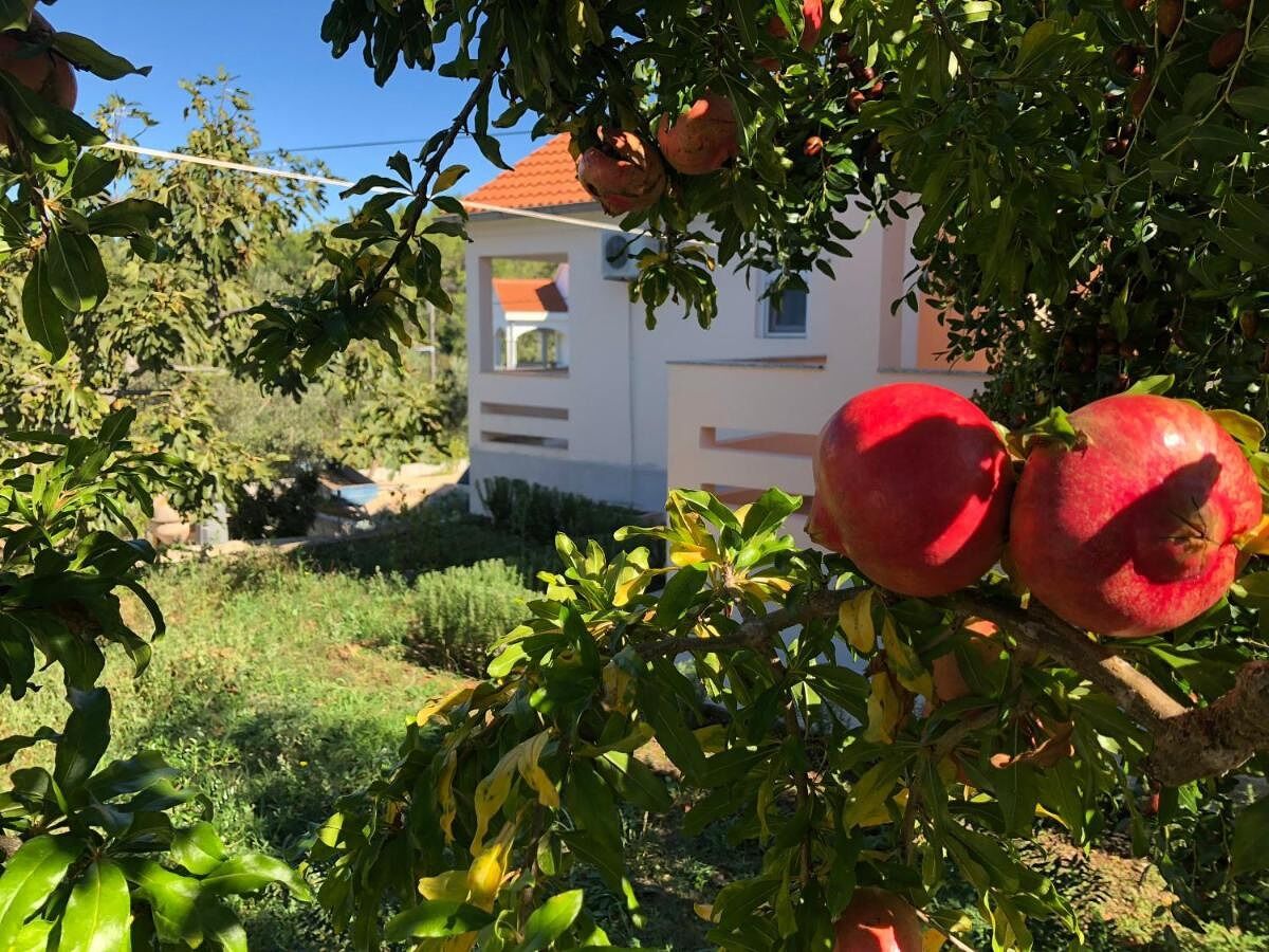 Apartment Two bedroom apartment with terrace Lukoran, Ugljan A-20387-a - Outdoor photo 5