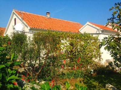 Apartment Two bedroom apartment with terrace Lukoran, Ugljan A-20387-a - Outdoor photo 3