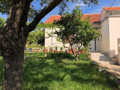 Apartment Two bedroom apartment with terrace Lukoran, Ugljan A-20387-a - Outdoor photo 4