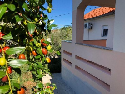 Apartment Two bedroom apartment with terrace Lukoran, Ugljan A-20387-a - Outdoor photo 6