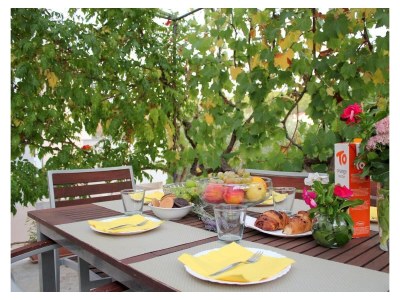 Apartment Two bedroom apartment with terrace Lukoran, Ugljan A-20387-a - Outdoor photo 22